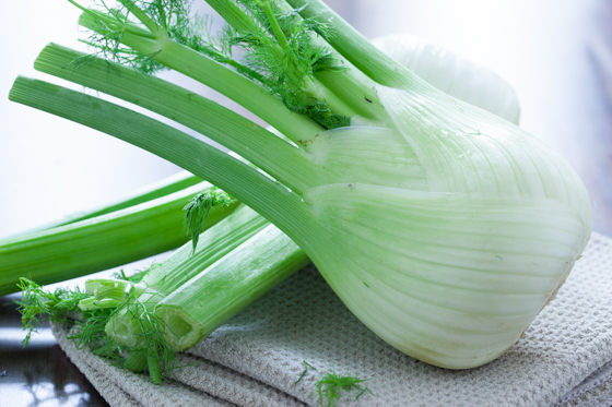 Fennel bulbs