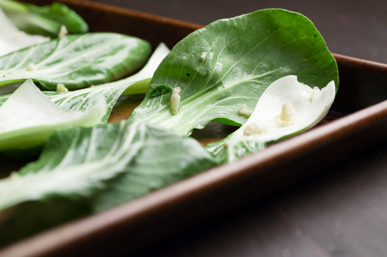 Ginger-Garlic Bok Choy