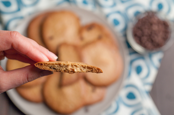 Chocolate Chip Meringue Cookies