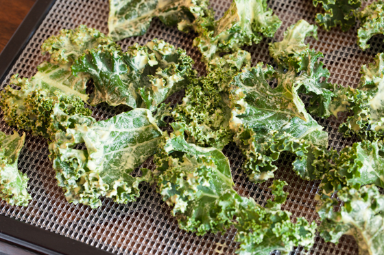 Kale on Dehydrator Sheets