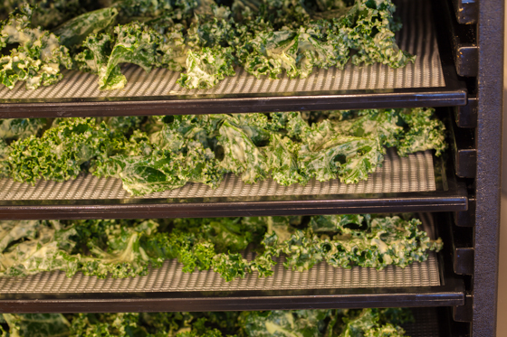 Kale in dehydrator