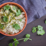 Shredded Chicken & Tomatillo Stew