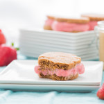 Peanut Butter & Jelly Ice Cream Sandwiches