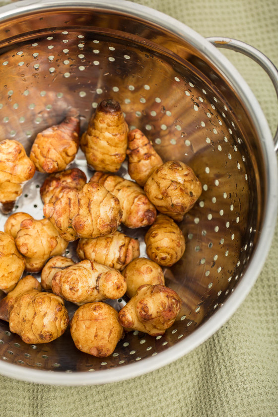 Jerusalem Artichokes or Sunchokes