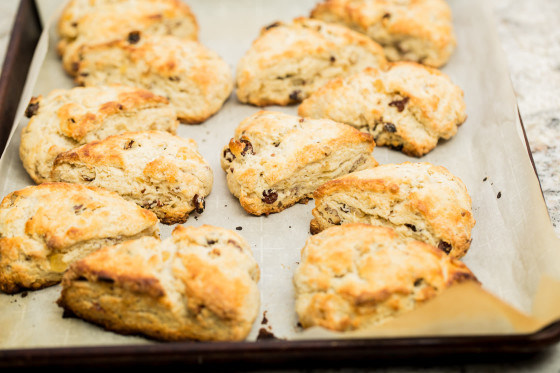 Candied Ginger Scones | LaughterandLemonade.com